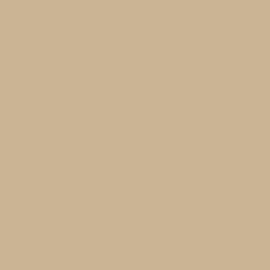 Long Sleeve Twill Shirt Design