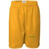 Pro Mesh 9" Shorts Thumbnail